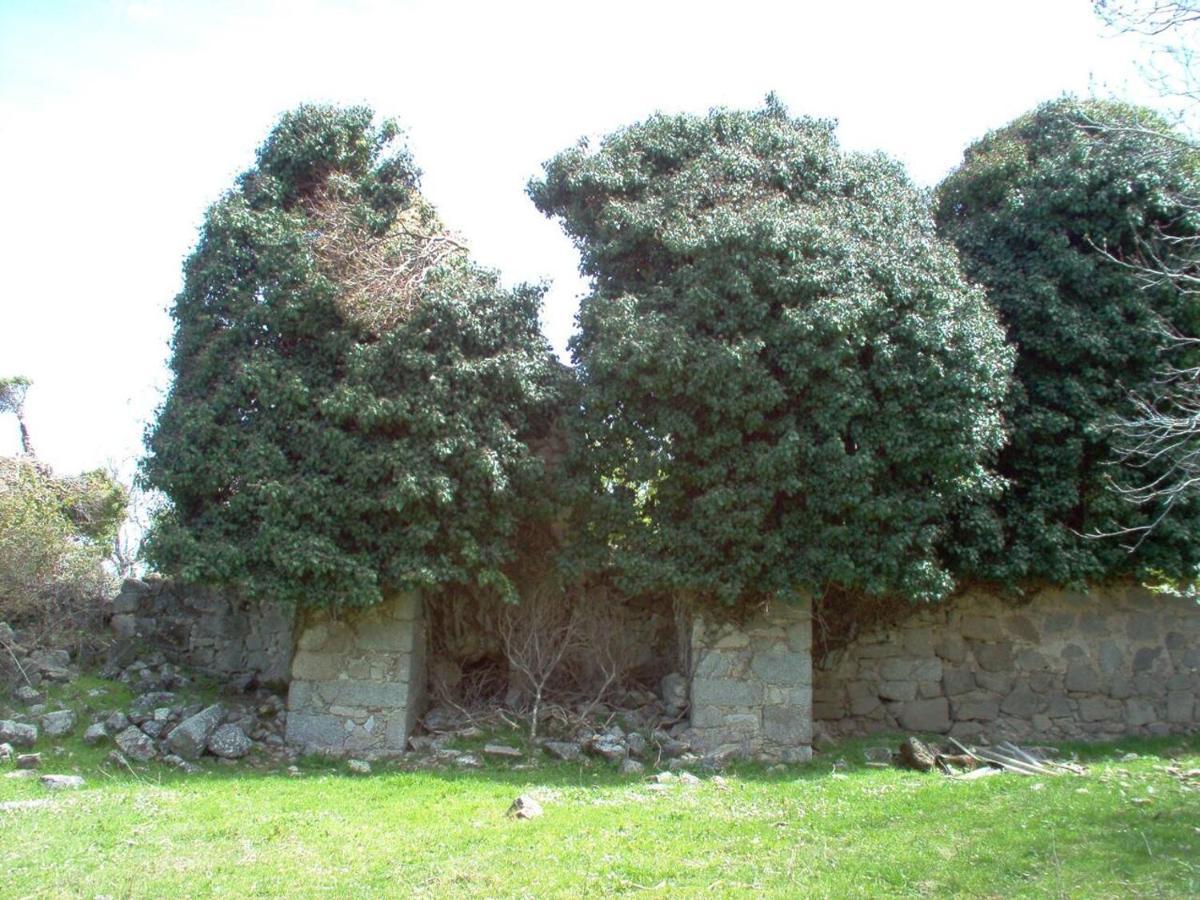 Casa Rural Cristina III San Pablo de los Montes Exterior foto